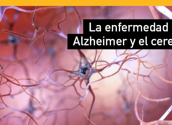 Una mirada hacia el universitario con familiar con Alzheimer